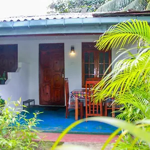 https://sun-flower-homestay-sigiriya.kandyhotelsnow.com